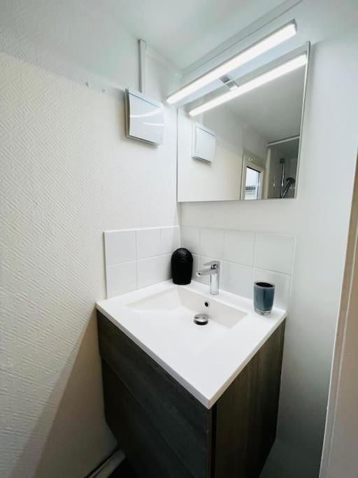 L'Eden, Apt 4 Prs Avec Jardin En Centre Ville 디종 외부 사진